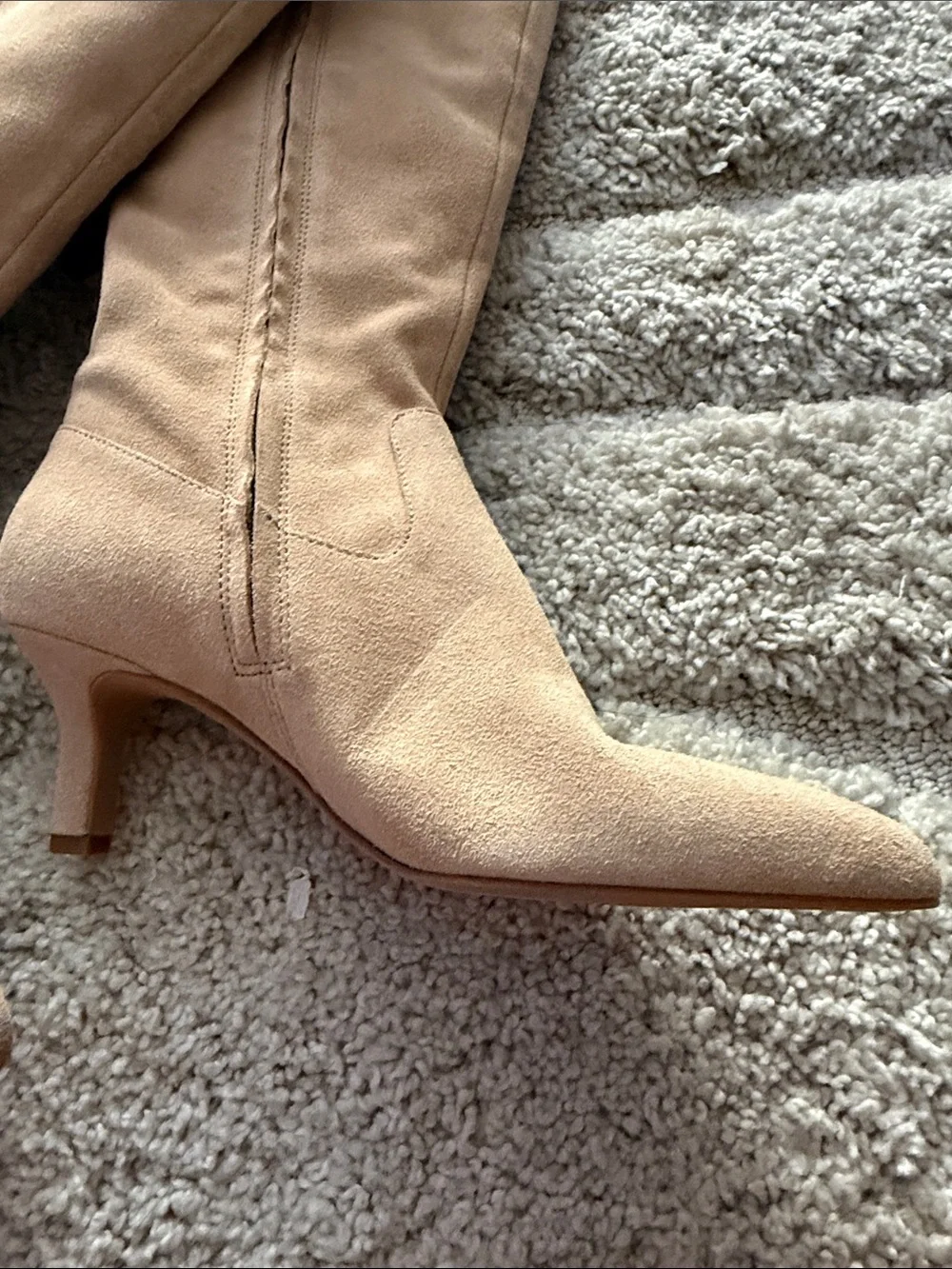 Dolce Vita Beige Suede Over-the-Knee Boots